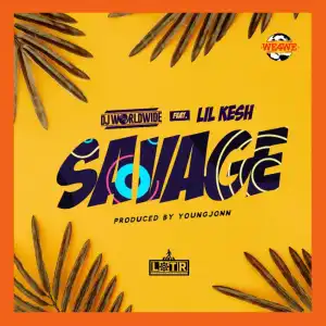 DJ Worldwide - Savage ft. Lil kesh & Young Jonn